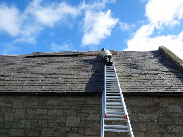Roof Leak Repair