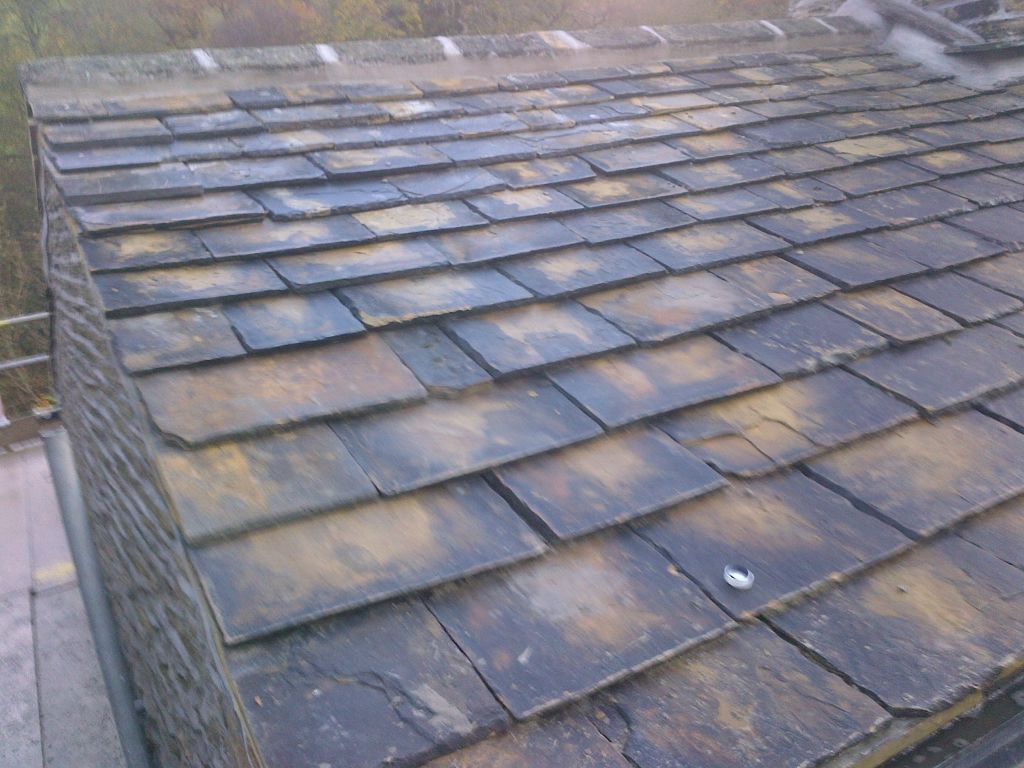 Roof Waterproofing