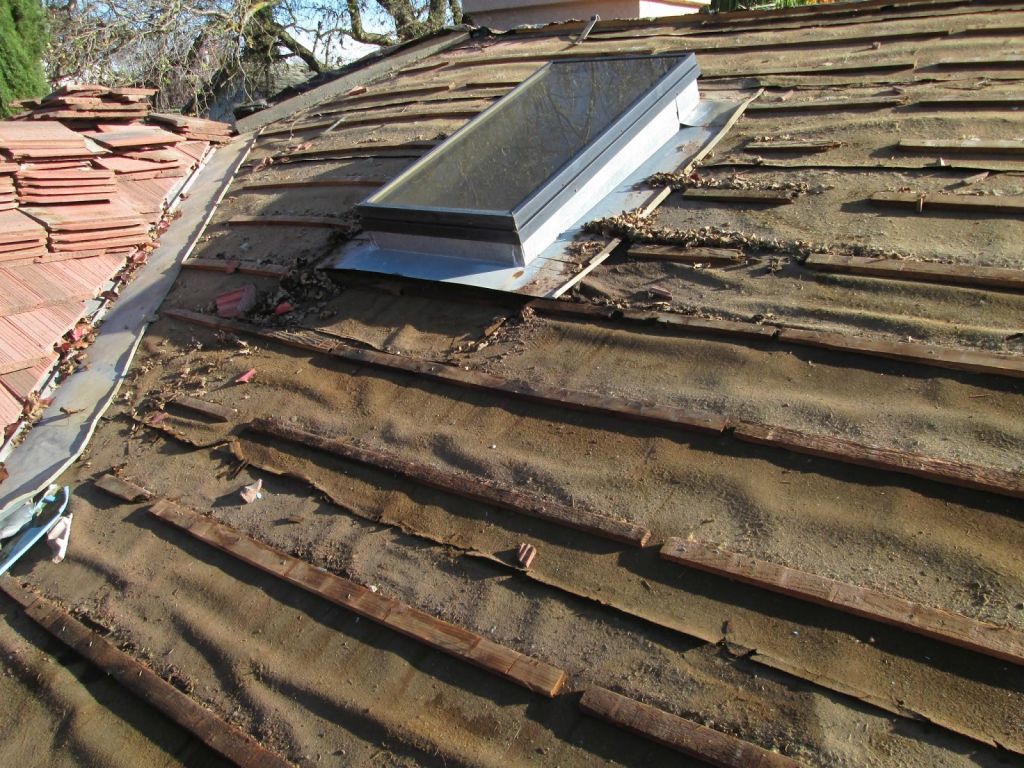 Storm Damage Repair